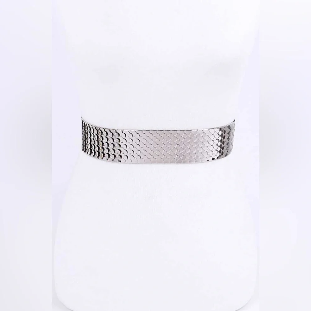 Metal Fashion Statement Belt